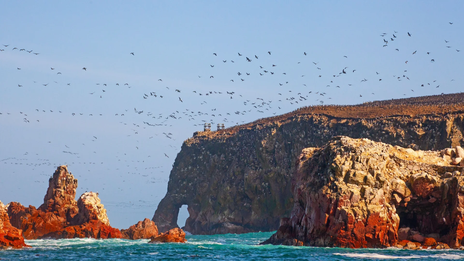Circuite Peru - Paracas 