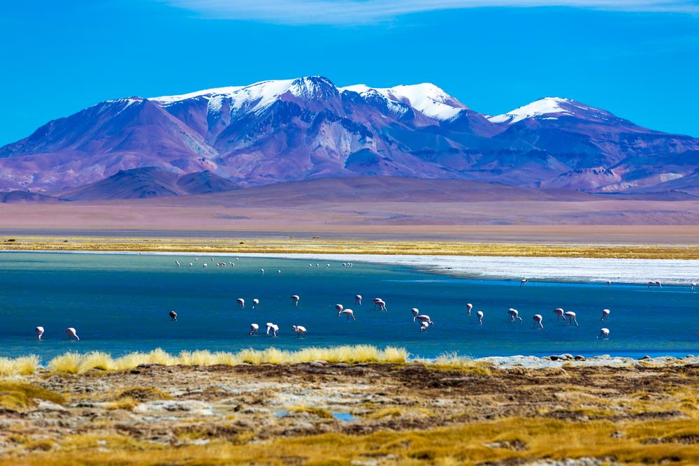 Circuit Chile - "Descopera Santiago si Desertul Atacama"
