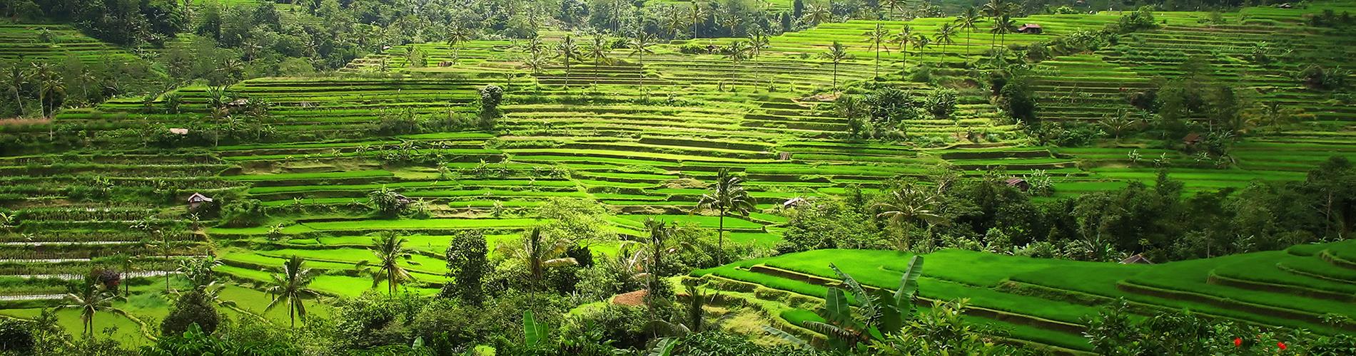 Indonezia