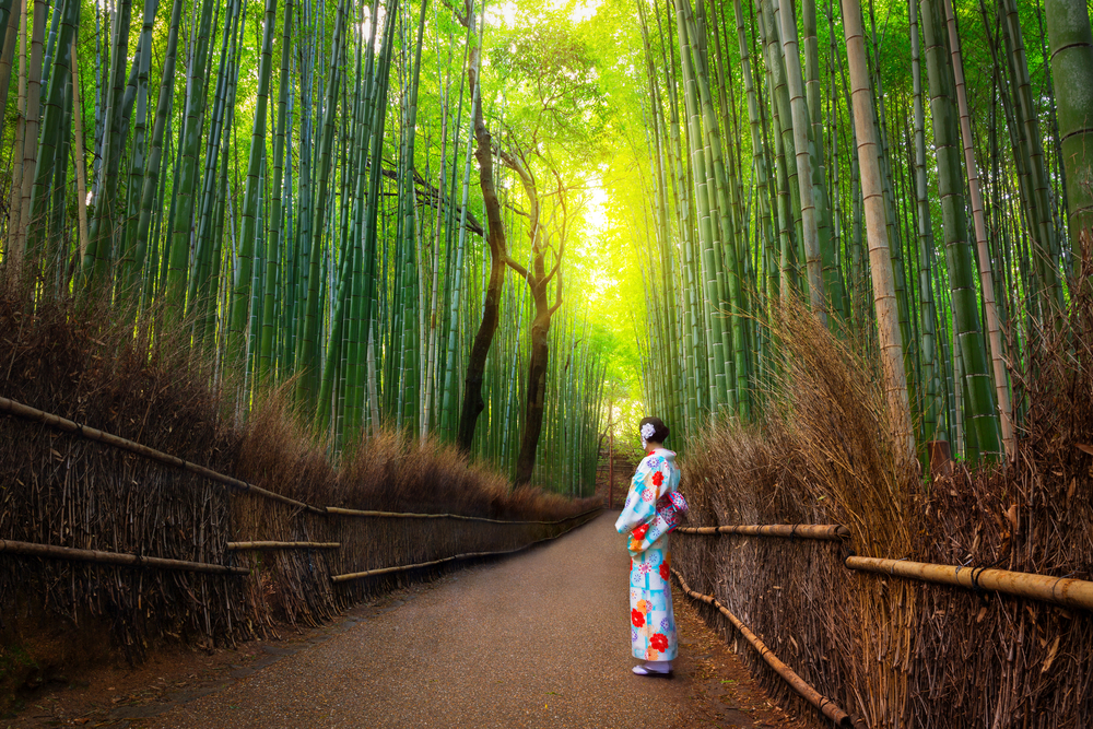 Aventura asiatica: Coreea de Sud si Japonia