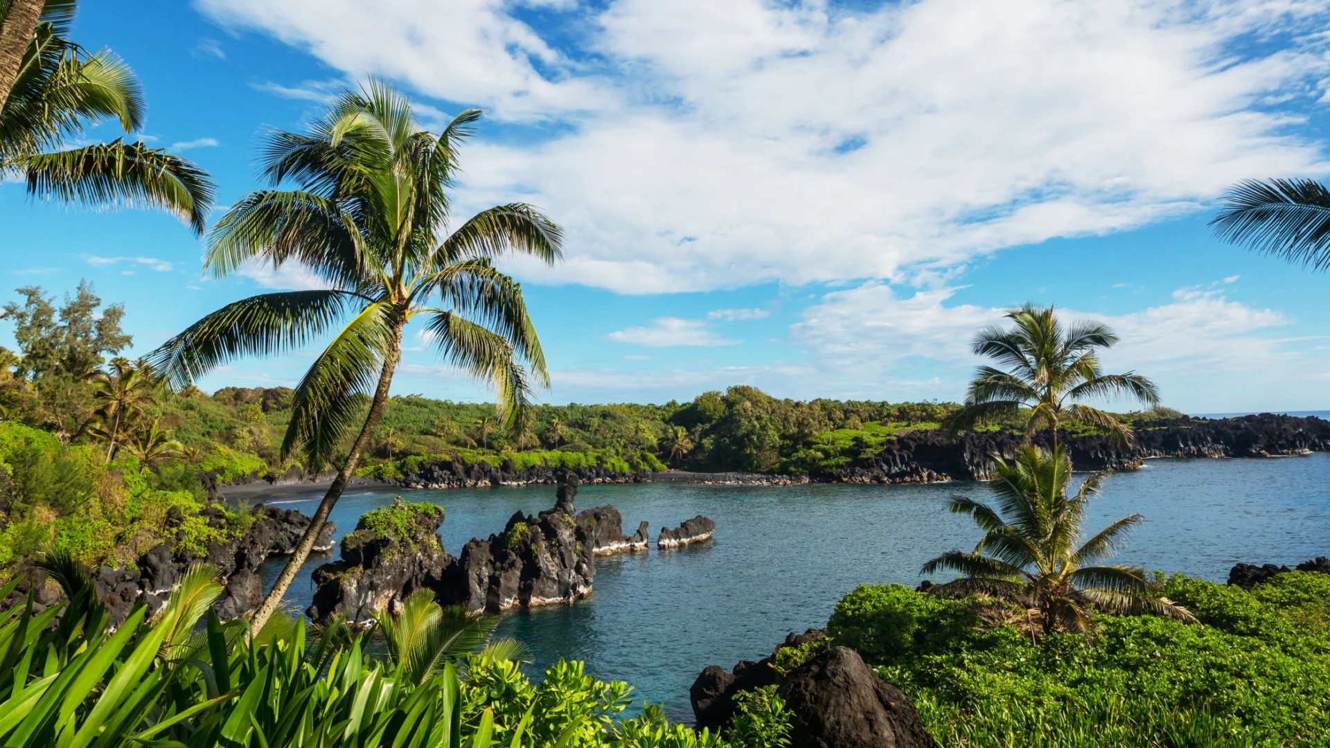 Oferte Sejur & Vacanta Hawaii