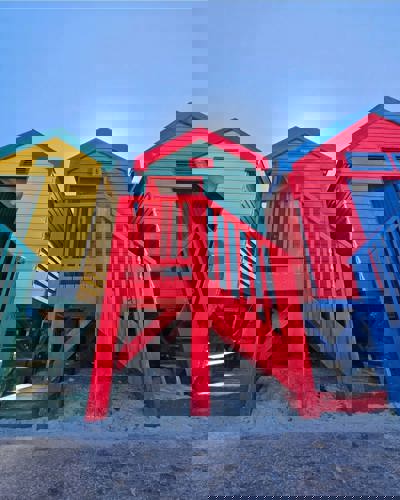 O experienta minunata in Africa de Sud!