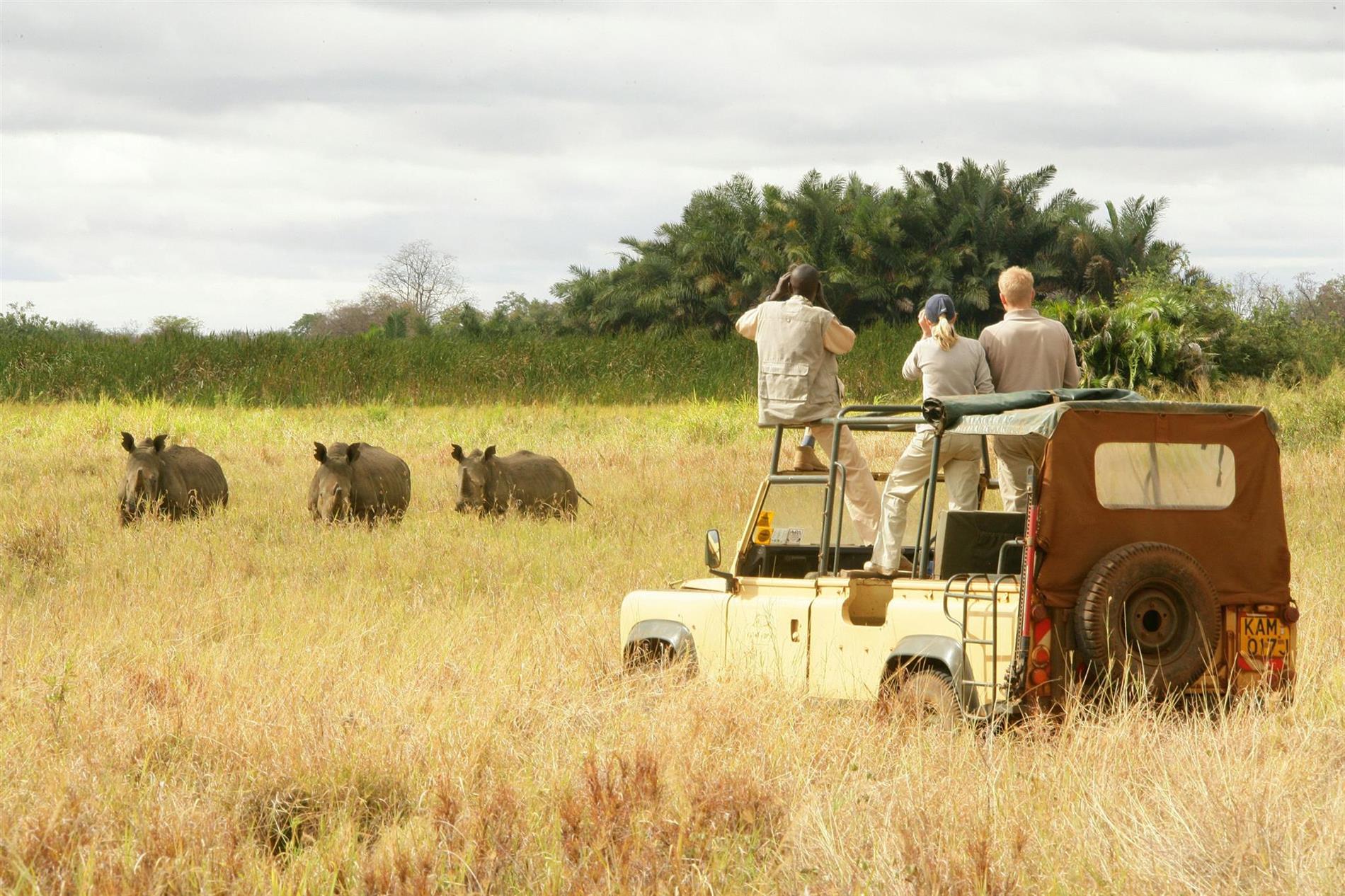 Highlights of East Africa