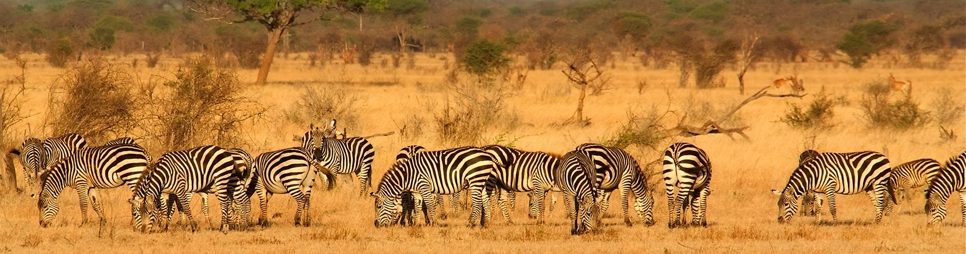 Oferte Sejur & Vacanta Kenya 2025