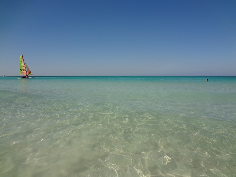 Familia Pirvu - februarie 2013