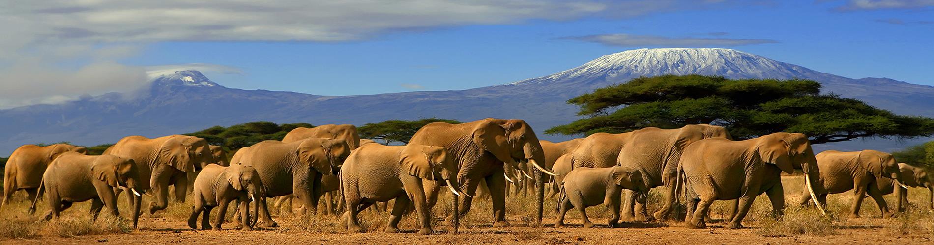 Oferte Sejur & Vacanta Tanzania 2025