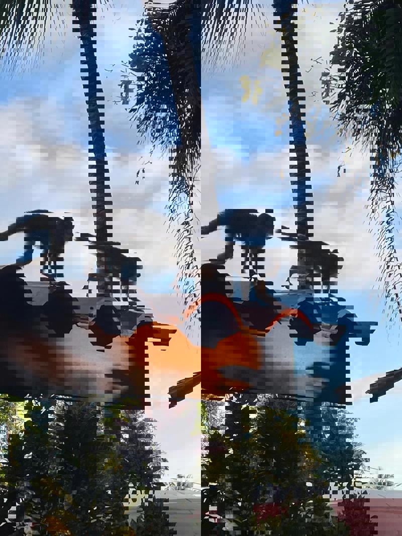 Emanuel - Vacanta pe plajele din Costa Rica