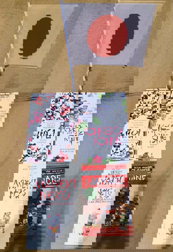 Felicia - Octombrie 2025