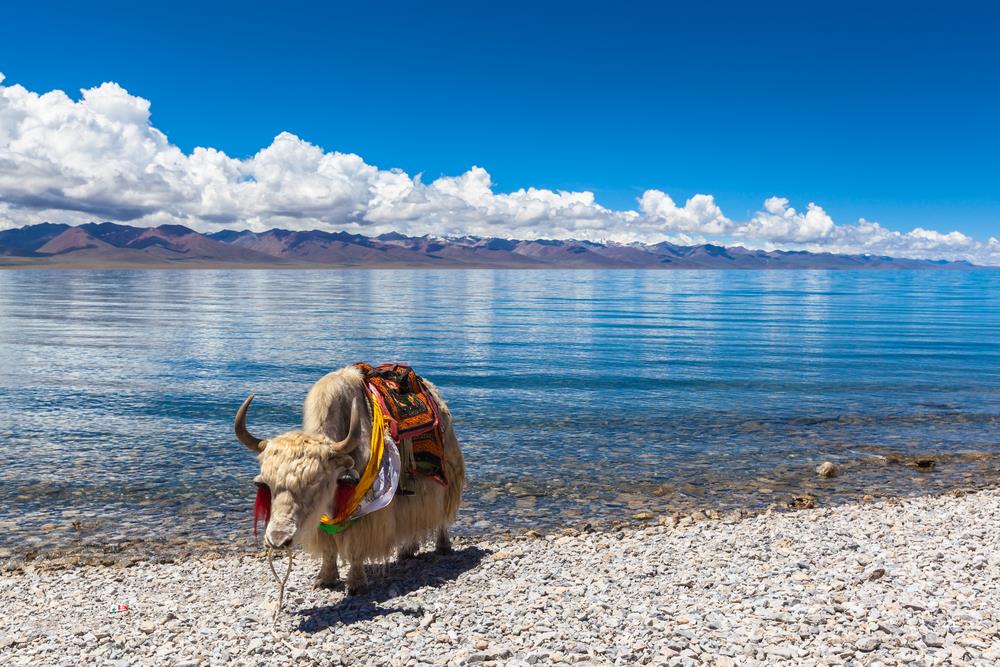 Circuit ”China - Spirits of Tibet”