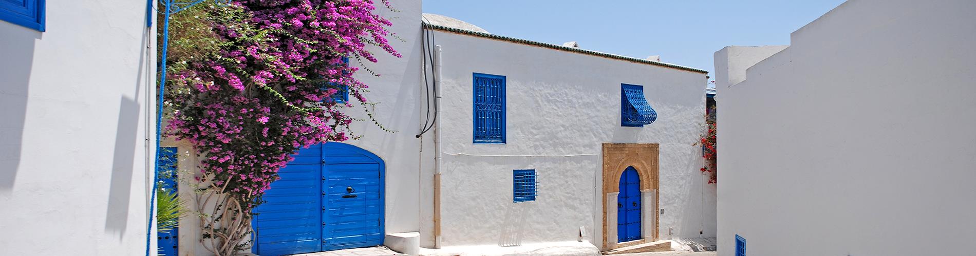 Oferte Sejur & Vacanta Tunisia 2025