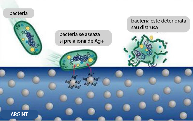 Septiclin functionare