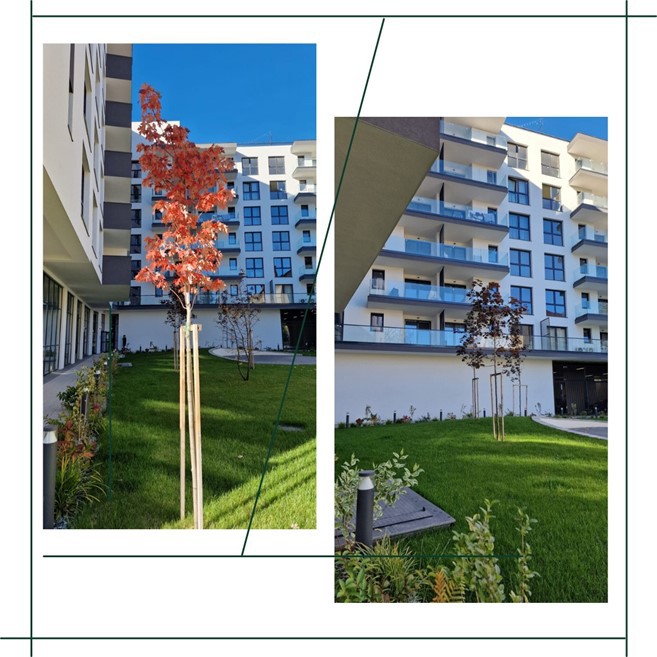 "The Nest" - Residential Building Cluj Napoca