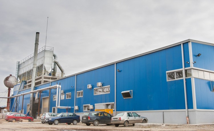 AVIVA  – Sighetu Marmatiei